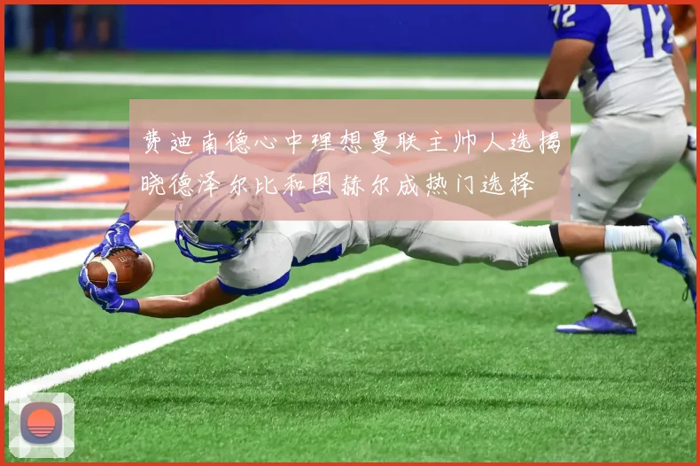 费迪南德心中理想曼联主帅人选揭晓德泽尔比和图赫尔成热门选择