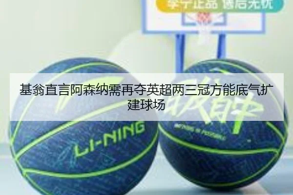 基翁直言阿森纳需再夺英超两三冠方能底气扩建球场（Leyu）